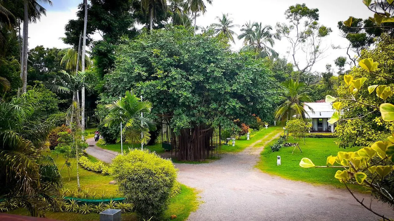 Oreeka - Katunayake Airport Transit Hotels 3*,